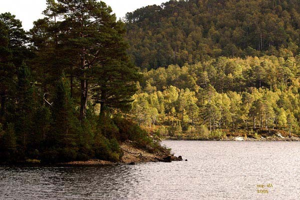 Loch Affric