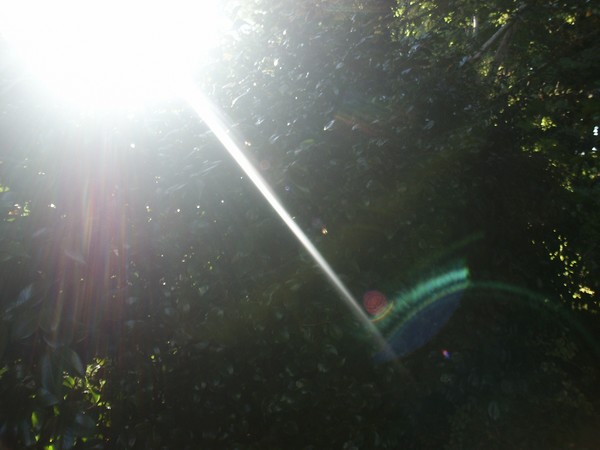 CRSYSTAL CLEAR RAINBOW LIGHT....