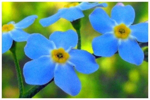 Feeling Blue