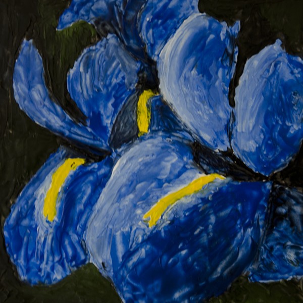 Trio of Iris - Encaustic
