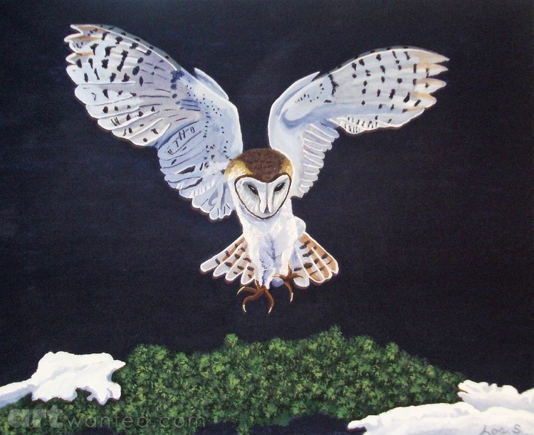 Owl Landing