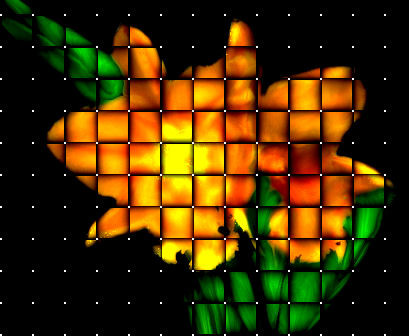 Woven Tangerine Orchids  