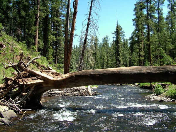 Black River