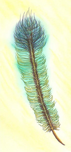 Feather #1 reverse