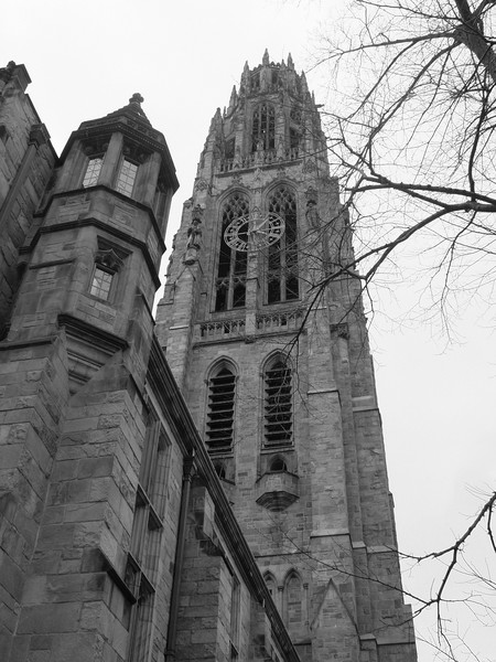 The clock tower