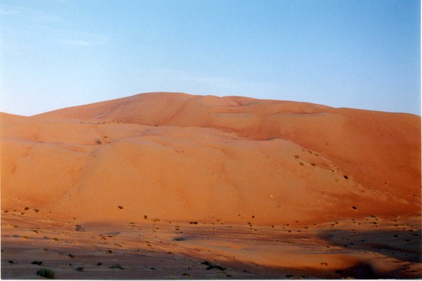 Gulf Desert