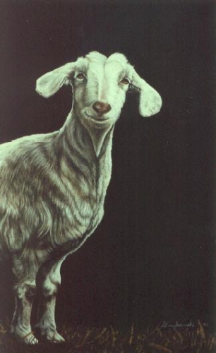 Basil's Goat