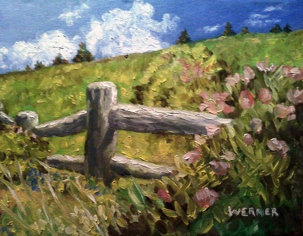 old wooden fence
