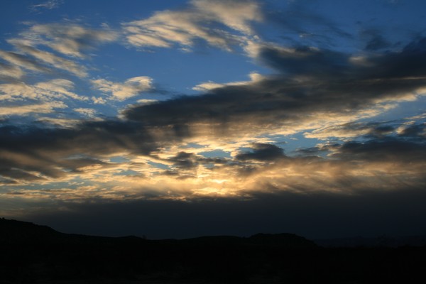 Morning Light