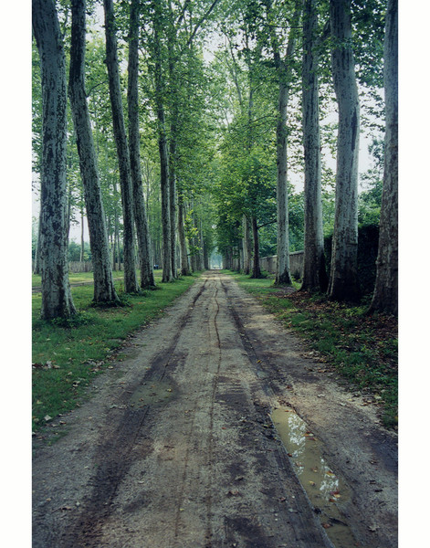 Path