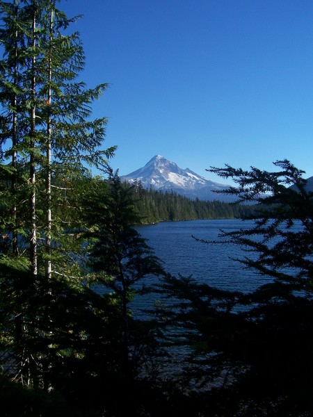 Mt. Hood Spendor