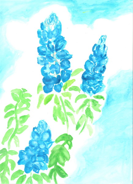 Bluebonnets