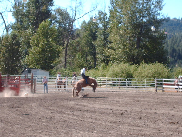 rodeo time