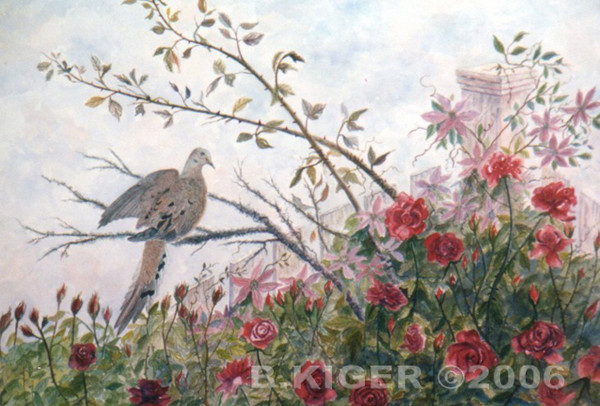 A Dove and Roses