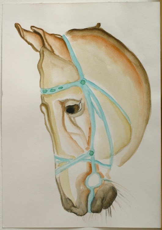 Horse 