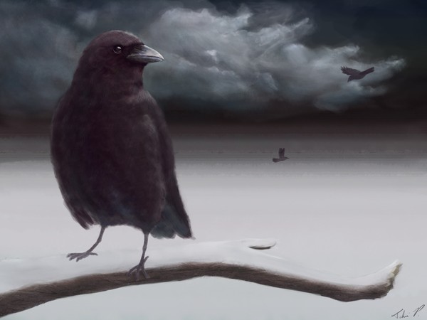 Night Watch