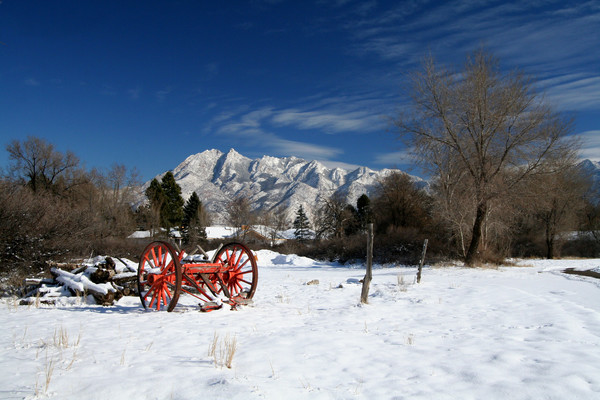 Wagon Wheels in the Snow
