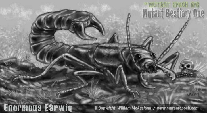 Enormous Earwig
