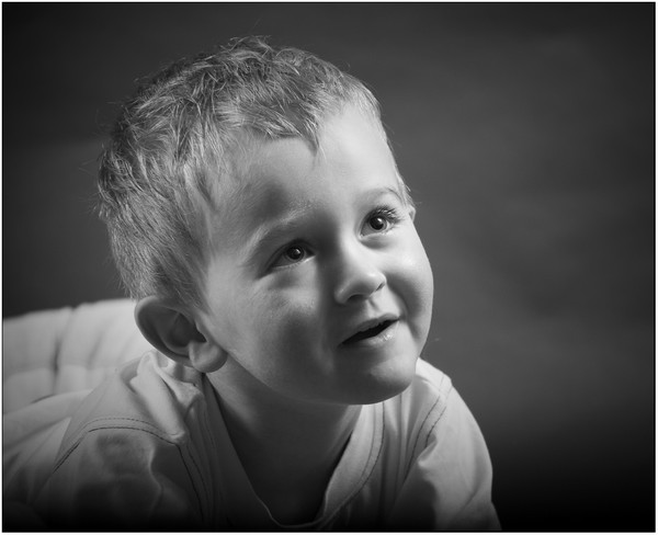 Zander 