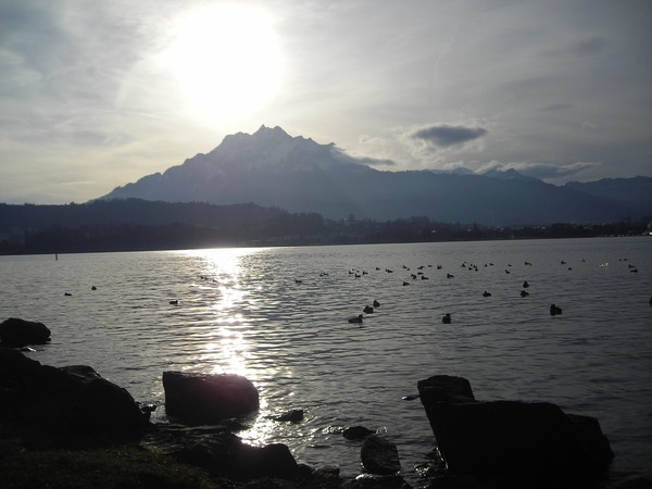 Swiss landscape