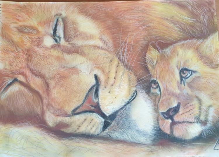 Lion love 5