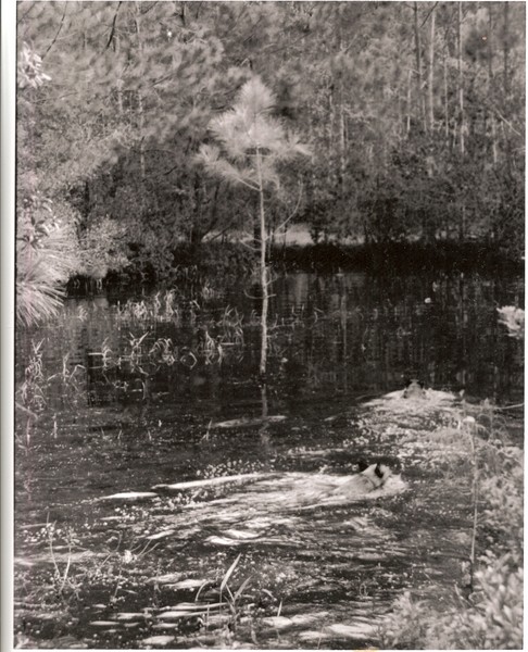The Pond