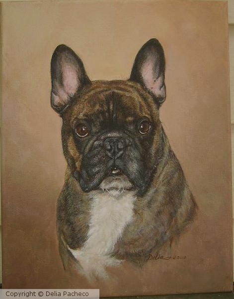 Basil