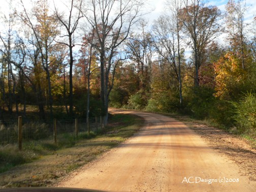 Georgia Dirt Road