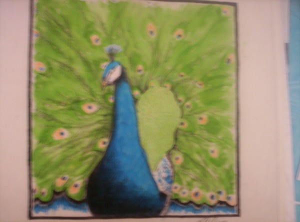 Peacock