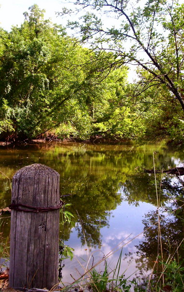 time to reflect