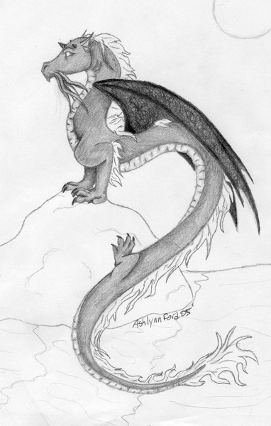 Water Drake