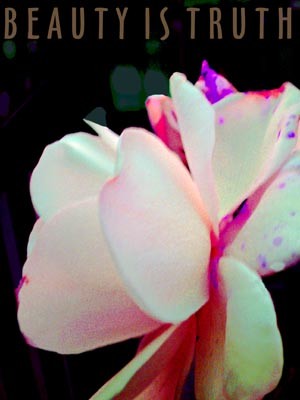 Beauty is Truth