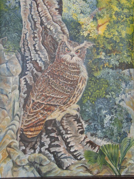 Eurasian Eagle Owl