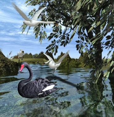 A day in the lake