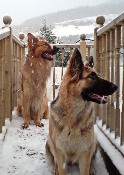 Dee Dee and Ozzy