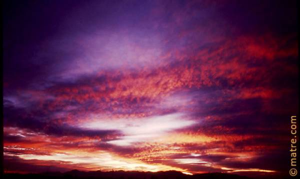 Nature's Daily Art Show