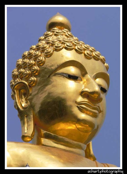 Buddha Head