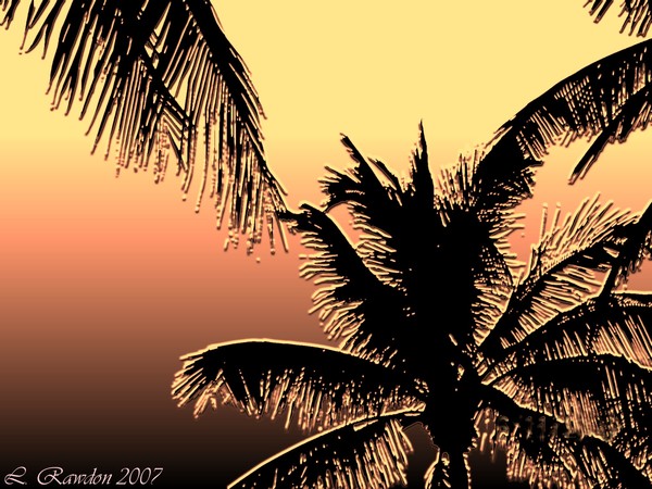 The Palms
