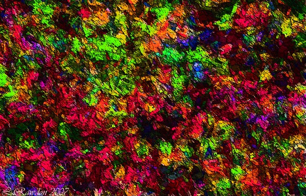 A Face in the Crowd
