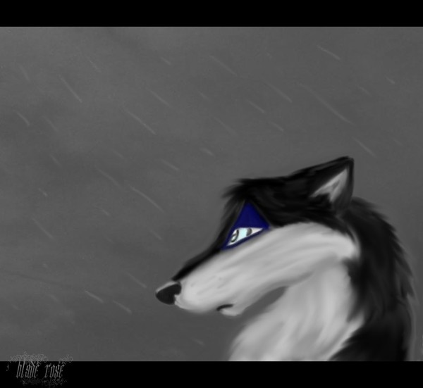 Shadowed by the Rain