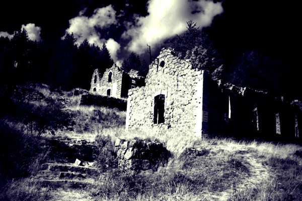 Untitled1