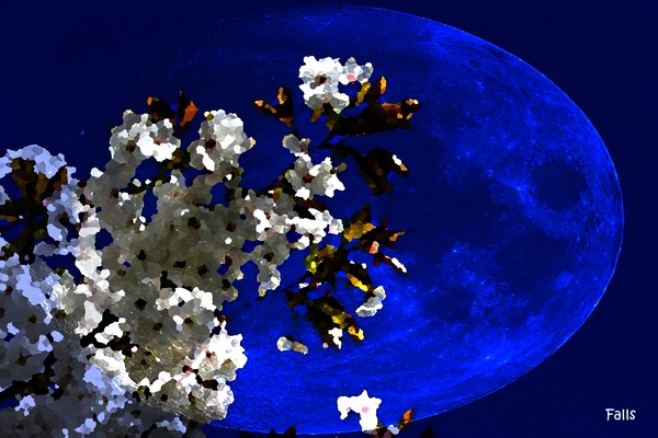 SCENT OF INFINITO