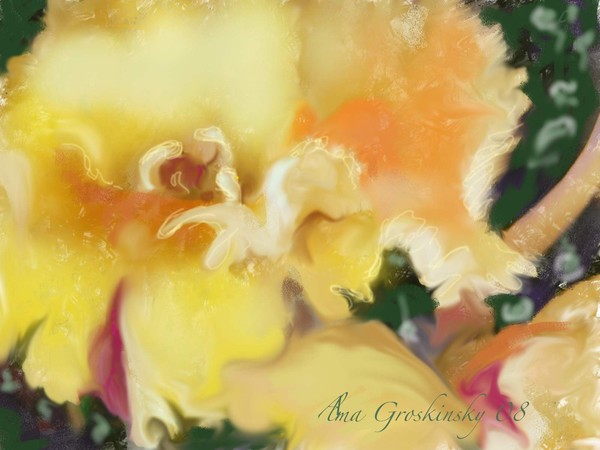 Cymbidium Orchid