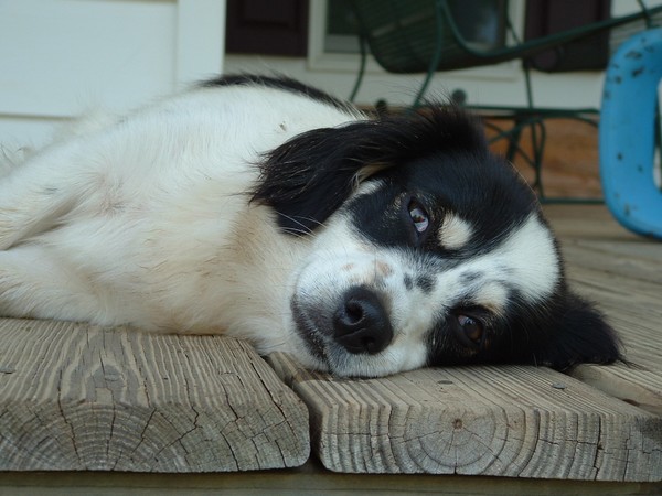 My Friend--Favorite Past-time