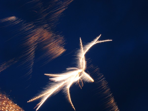 Fire Dragon?
