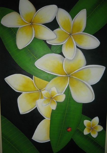 Summer Frangipani
