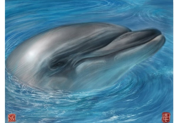 Soul of the ocean