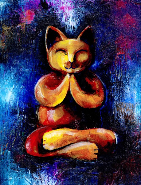 Buddha Cat, Nevada SPCA