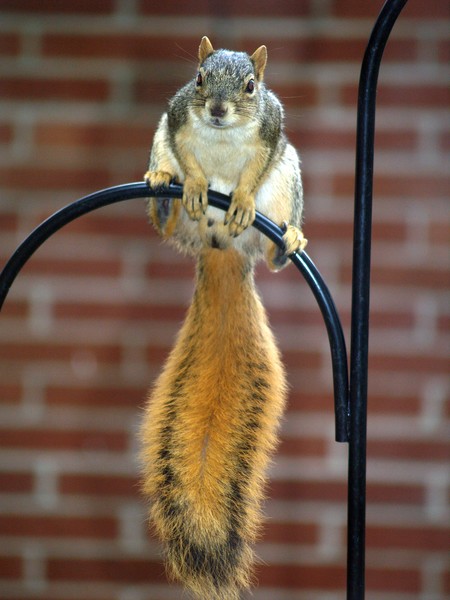 Balance Is So Important.......
