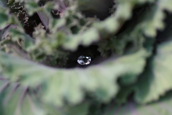 Hidden